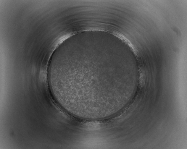 X0000116760882200912311816