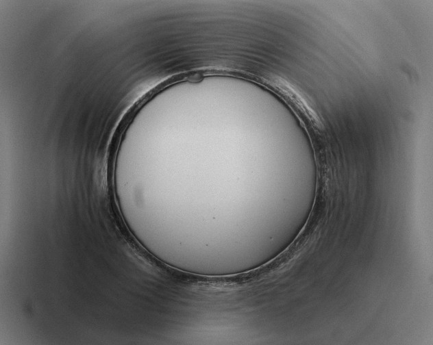 X0000116760884200912311816