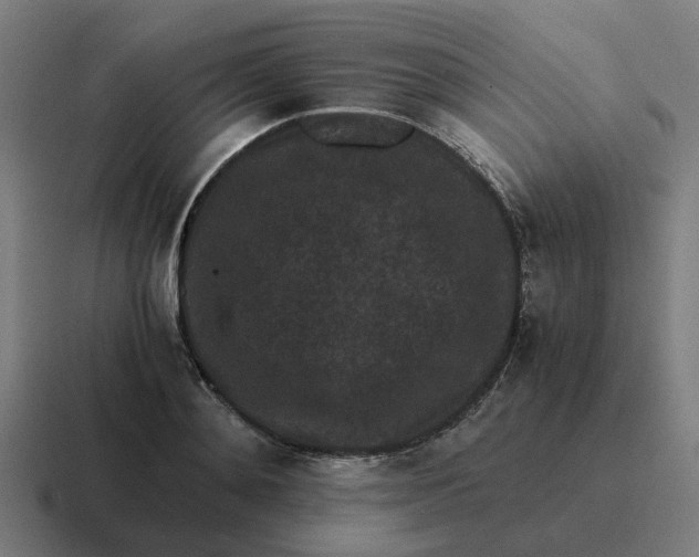 X0000116760892200912311816