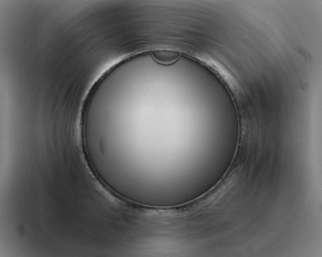 X0000116760902200912311816