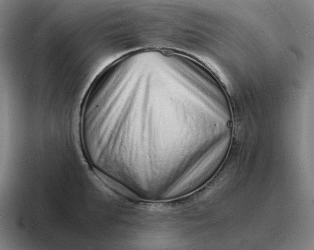 X0000116760903200912311816