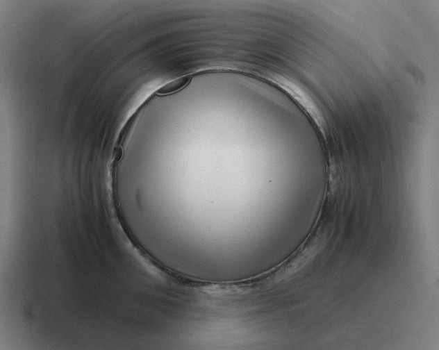 X0000116760906200912311816