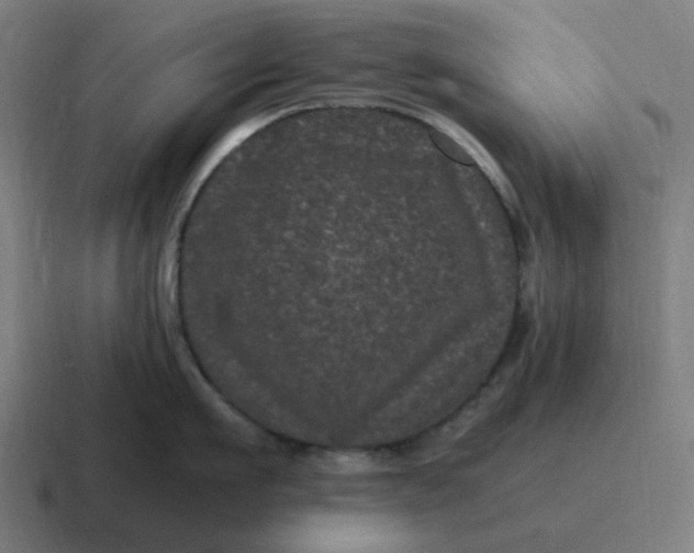 X0000116760911200912311816