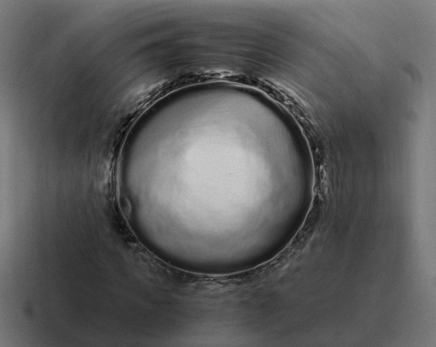X0000116760917200912311815