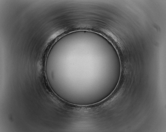 X0000116760922200912311816