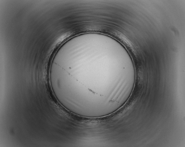 X0000116760930200912311816
