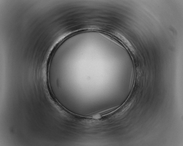 X0000116760939200912311816