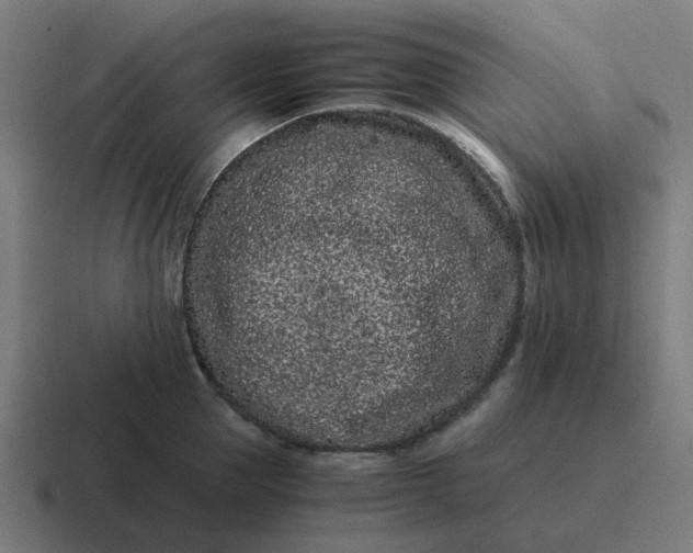 X0000116760953200912311816