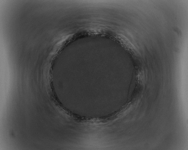 X0000116760961200912311815