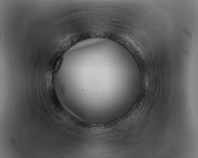 X0000116760964200912311815