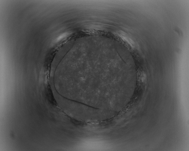 X0000116760965200912311815