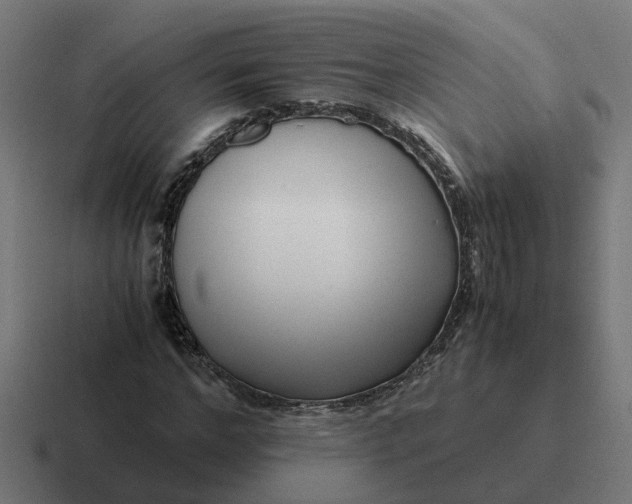 X0000116760968200912311815