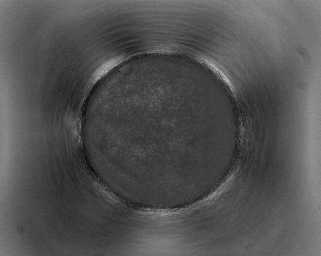 X0000116760970200912311815