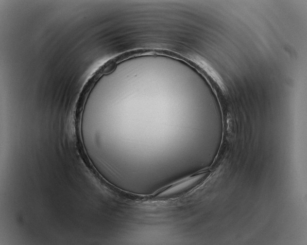 X0000116760972200912311815