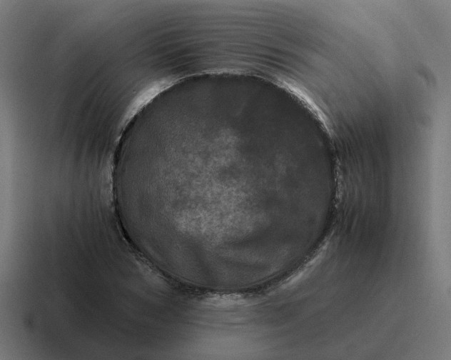 X0000116760978200912311815