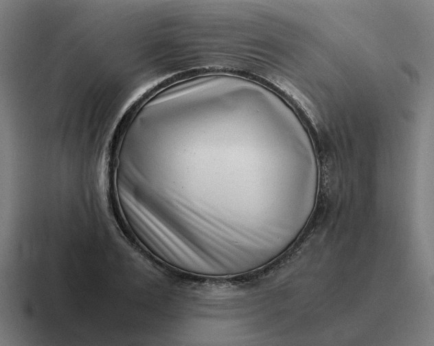 X0000116760983200912311815