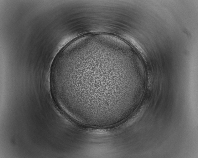 X0000116760986200912311815