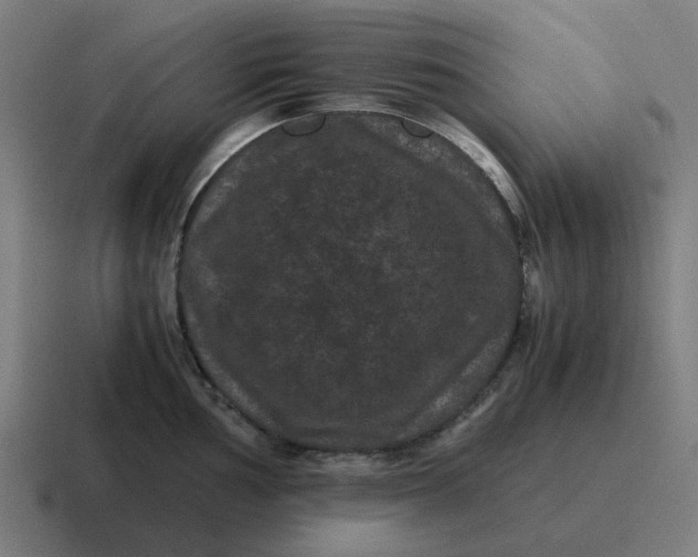 X0000116761002200912311815