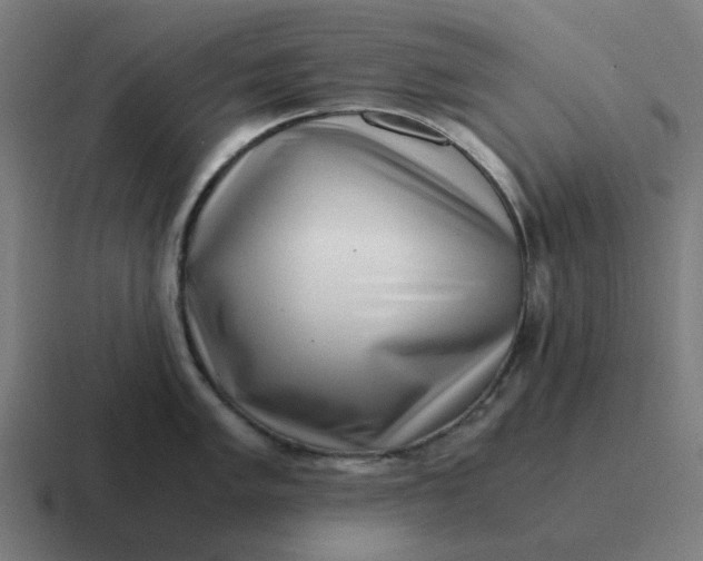 X0000116761005200912311815