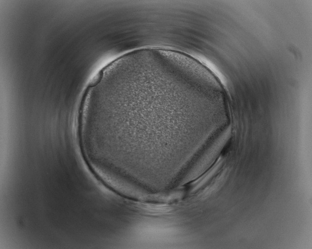 X0000116761007200912311815