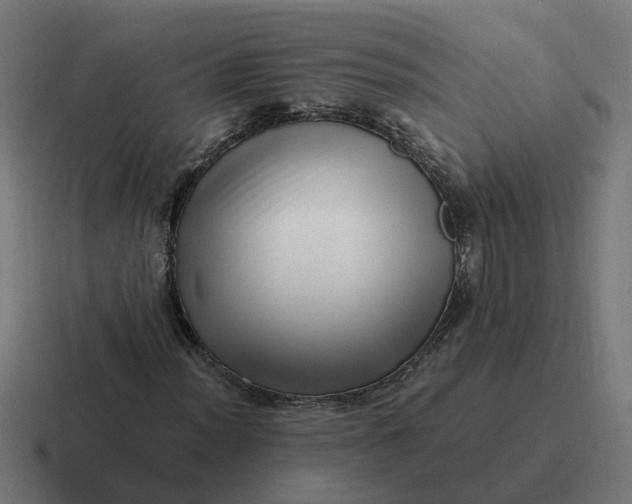 X0000116761012200912311814