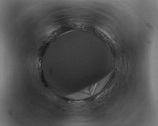 X0000116761013200912311814