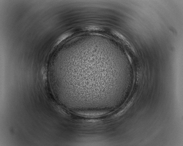 X0000116761017200912311814