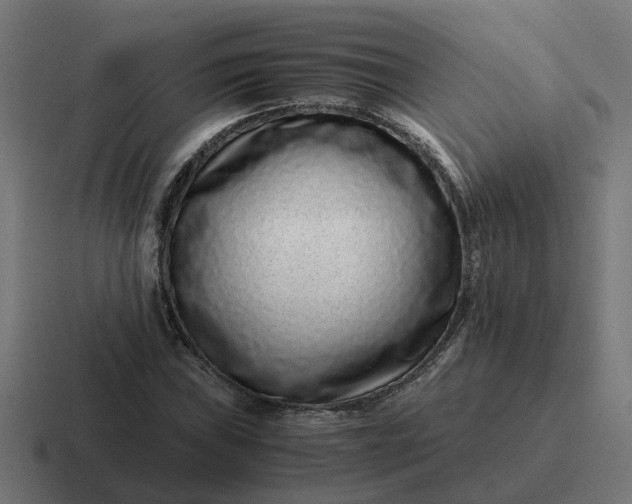 X0000116761019200912311814