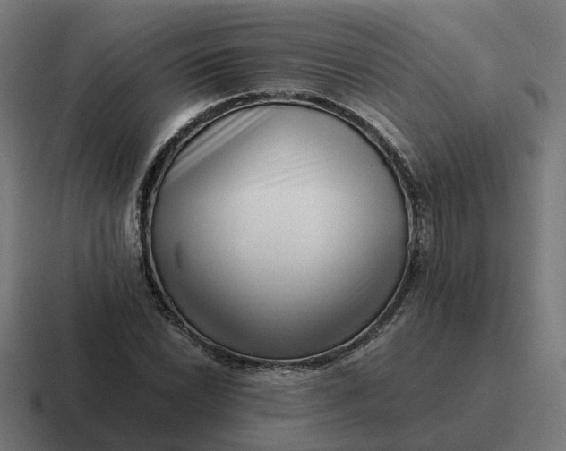 X0000116761022200912311814