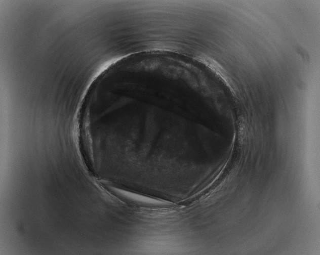 X0000116761024200912311814