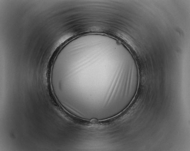 X0000116761026200912311814