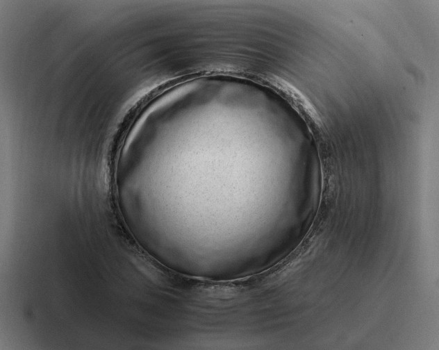 X0000116761027200912311814