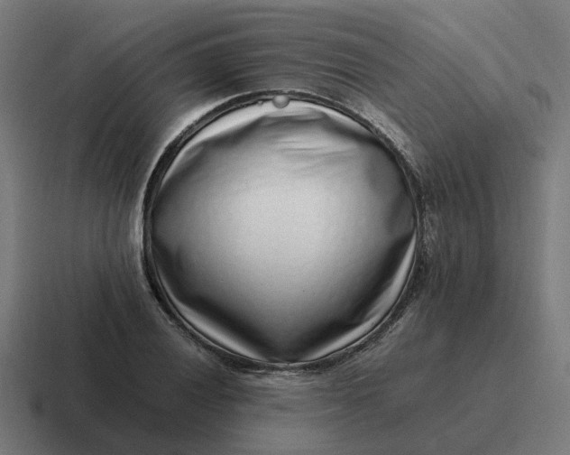 X0000116761028200912311814