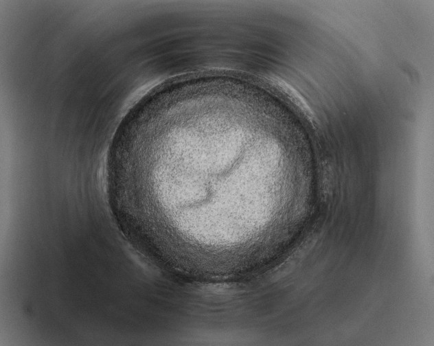 X0000116761031200912311814