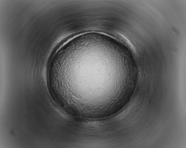 X0000116761035200912311815