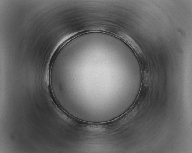 X0000116761036200912311815