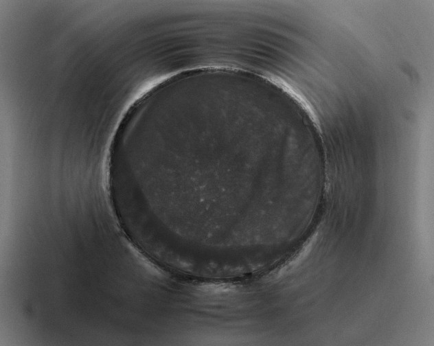 X0000116761037200912311815