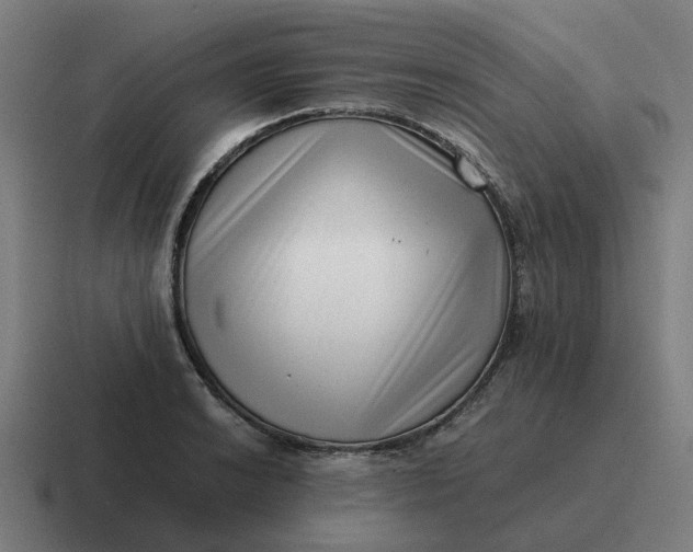 X0000116761038200912311815
