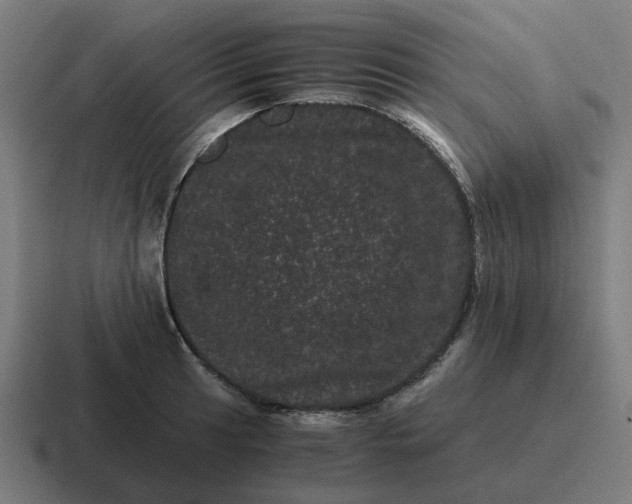 X0000116761041200912311815