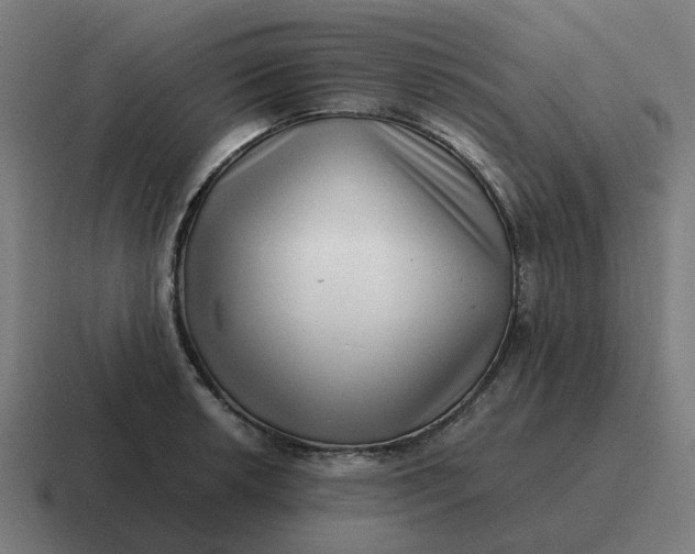 X0000116761042200912311815
