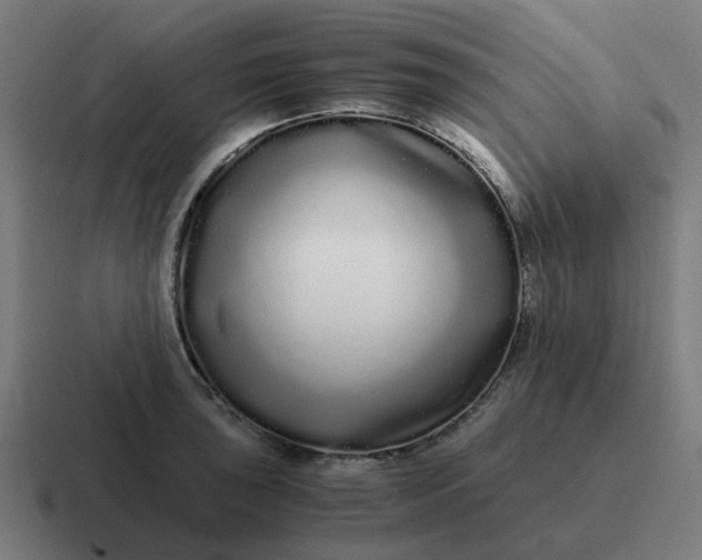 X0000116761043200912311815