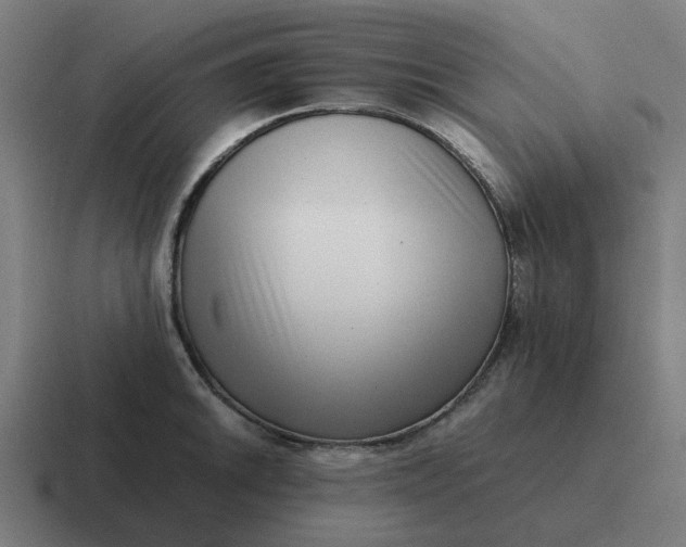 X0000116761046200912311815