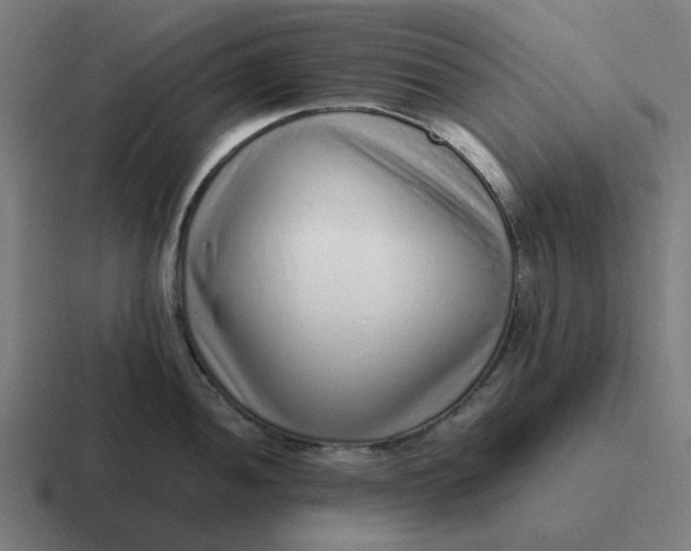 X0000116761052200912311815