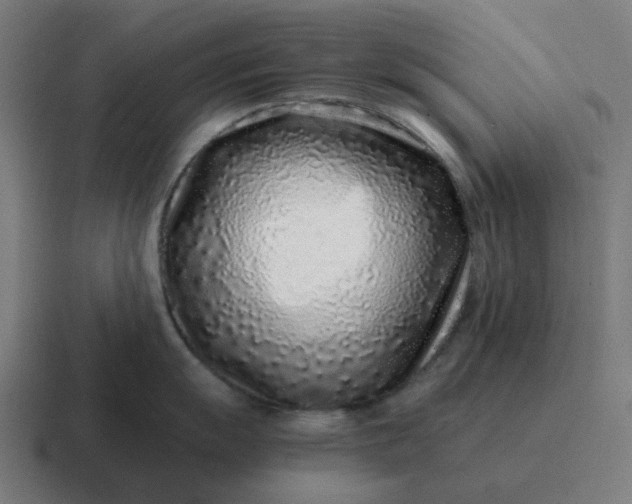 X0000116761055200912311815