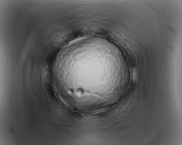 X0000116761059200912311814