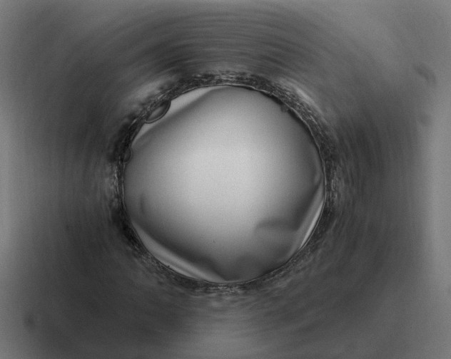 X0000116761062200912311814