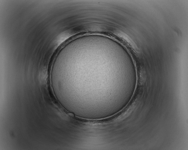 X0000116761065200912311814