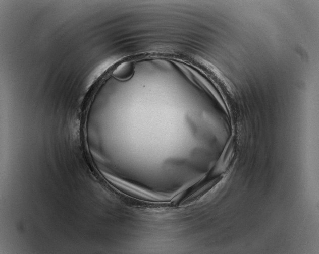 X0000116761066200912311814