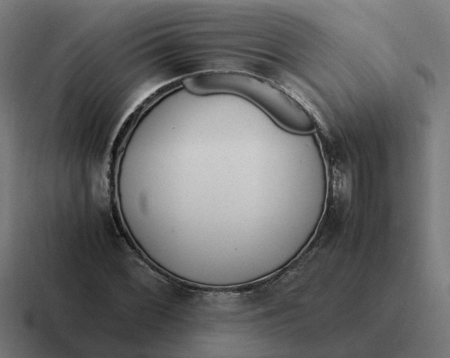 X0000116761068200912311814