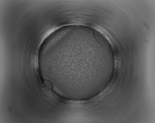 X0000116761069200912311814